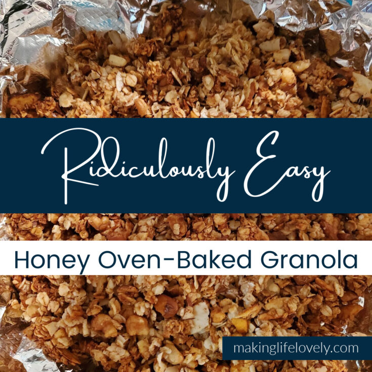 Ridiculously Easy Honey Baked Granola